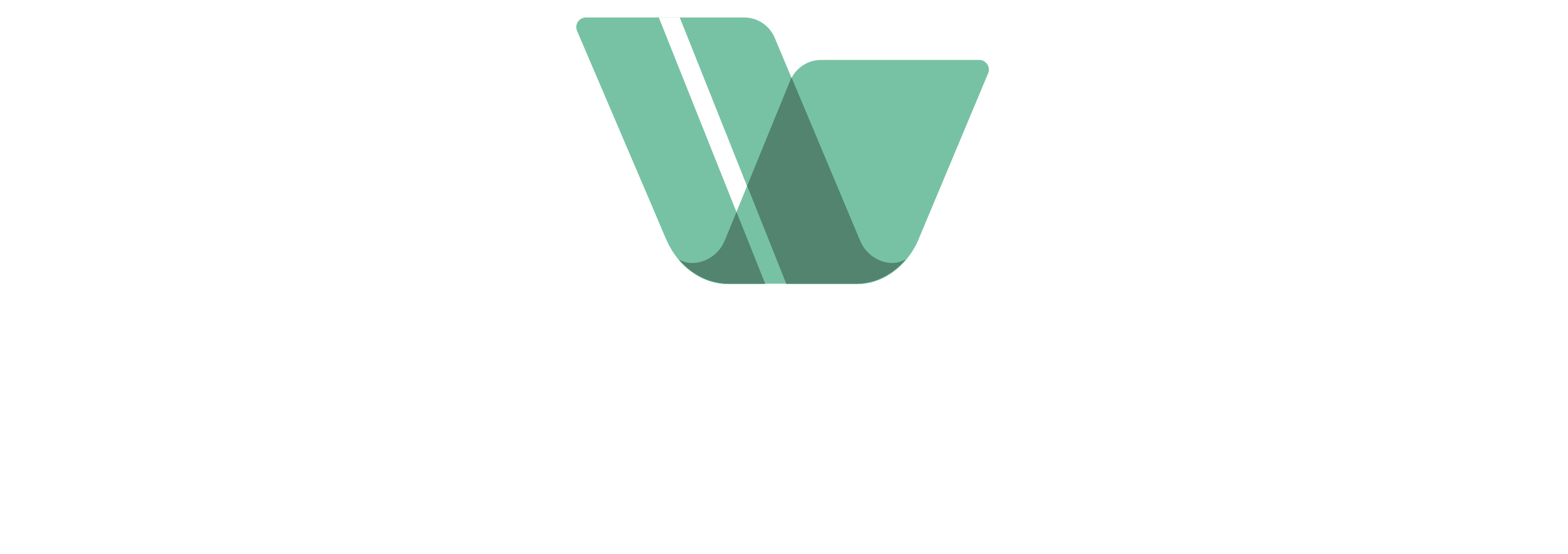 VIVATECH IT Logo